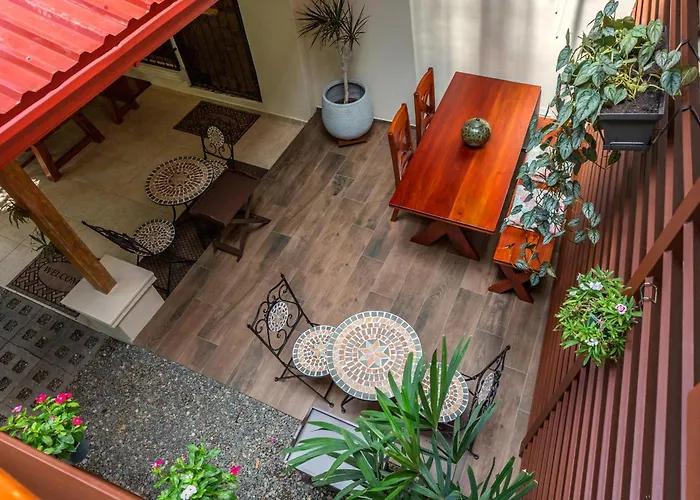 Jardin De Los Monos Matapalo 