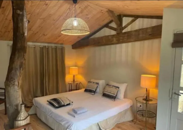 La Belle Epoque - Chambres d'hôtes&SPA