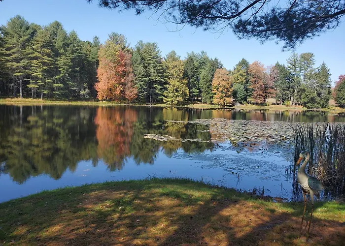 Paper Mill Pines Bed And Breakfast