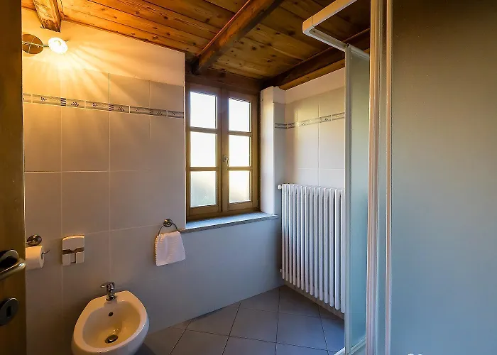 Mirtillo Alpino Casa Vacanze