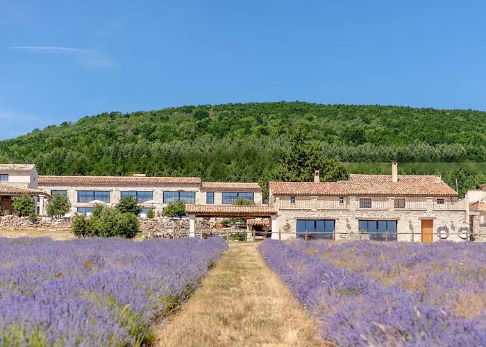 Domaine Château du Bois Provence