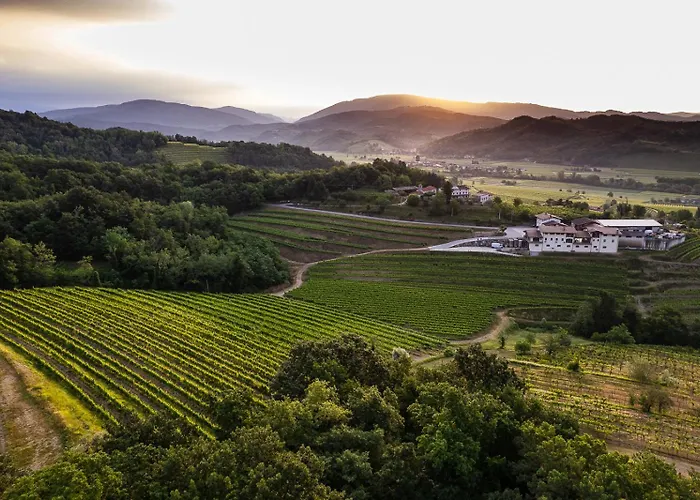 Vie D'Alt Wine And Rooms