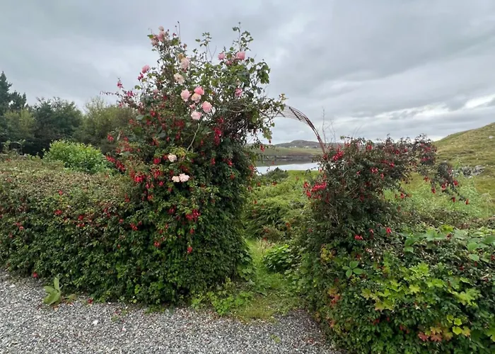 The Cornish House Bed & Breakfast Lochs