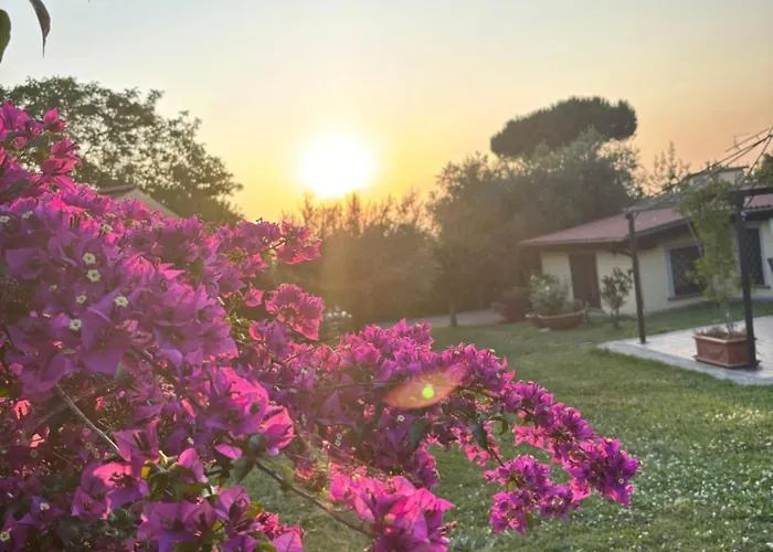B&B Ai Glicini - Castelli Romani Marino