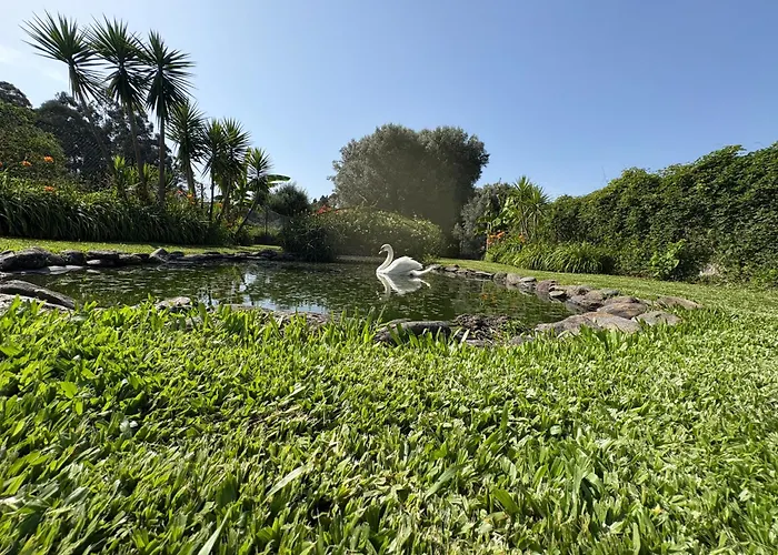 Bed and Breakfast Casa Da Pedrosa Ponte de Lima