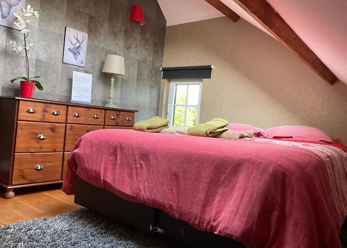 Bed and Breakfast Le Papillon d'Or à Arlon