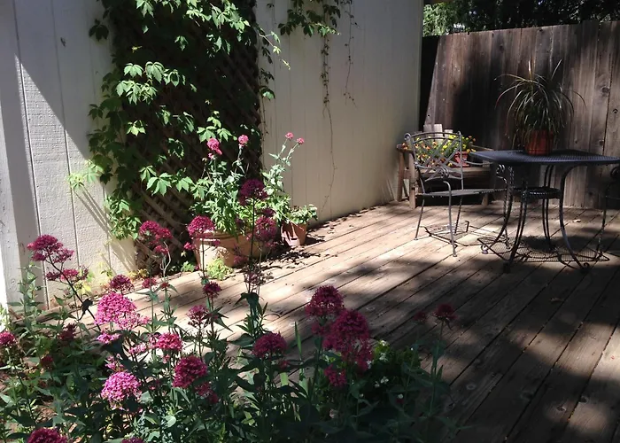 Backyard Garden Oasis