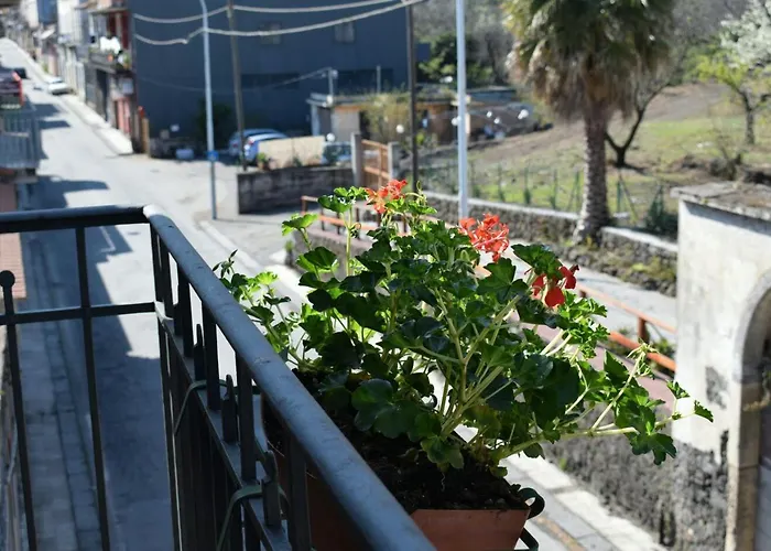 B&B L' Aquila dell' Etna Santa Venerina