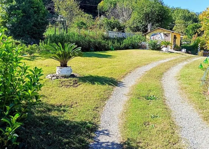 B&B Romy House Pianopoli