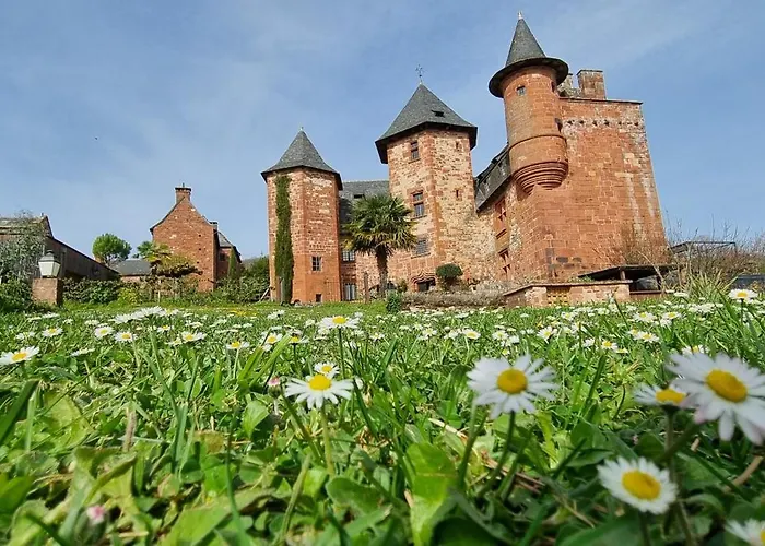Chateau De Vassinhac Chambres D'Hotes Collonges La Rouge
