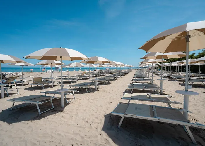 Club del Sole Stork Family Collection