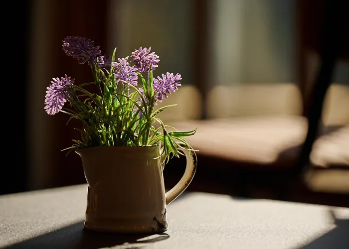 Cote Ghyll Mill Bed & Breakfast At Osmotherley