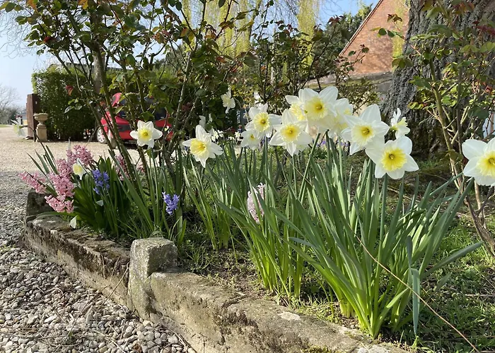Hill Farm Bed & Breakfast Oxford