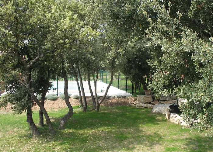 Ll Poulidetto