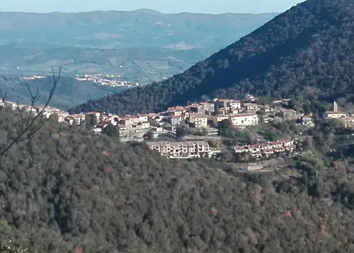 Alla Meria Castiglione della Pescaia