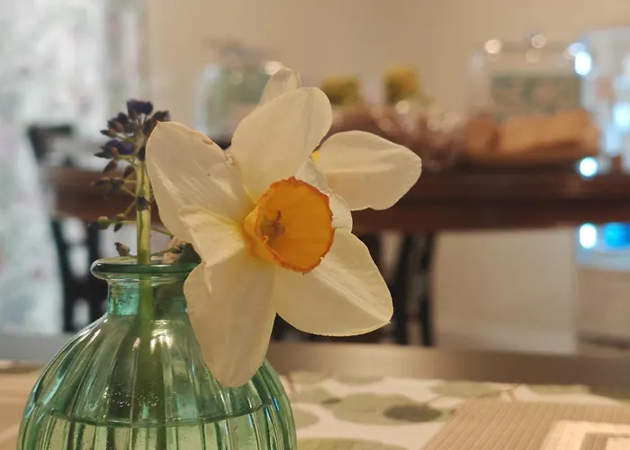 Bed and Breakfast Al Giardino Segreto Monza