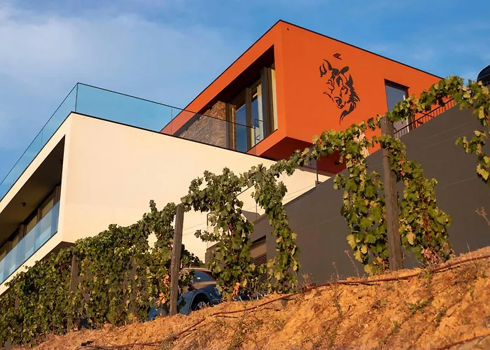 Quinta Vale De Lobos