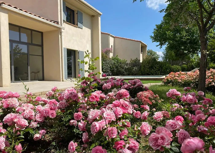 Le Jas Du Pebrier Bed and Breakfast Roquebrune-sur-Argens