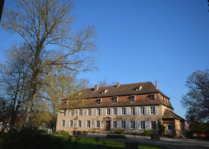 Chambres d'hôtes Château De Grunstein Stotzheim