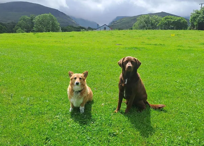 Inveraray Farm