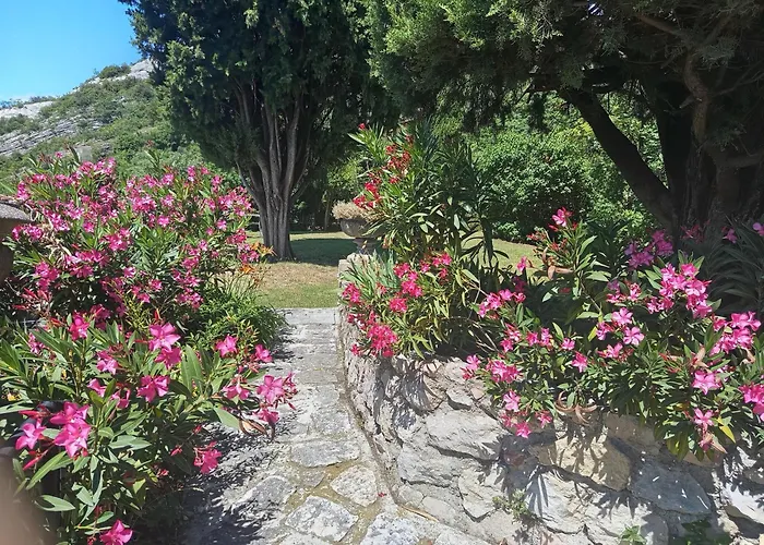 Garden Belvedere B&B Torbole Sul Garda