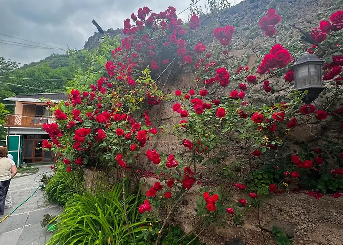 Iris B&B In Debed Canyon Alaverdi