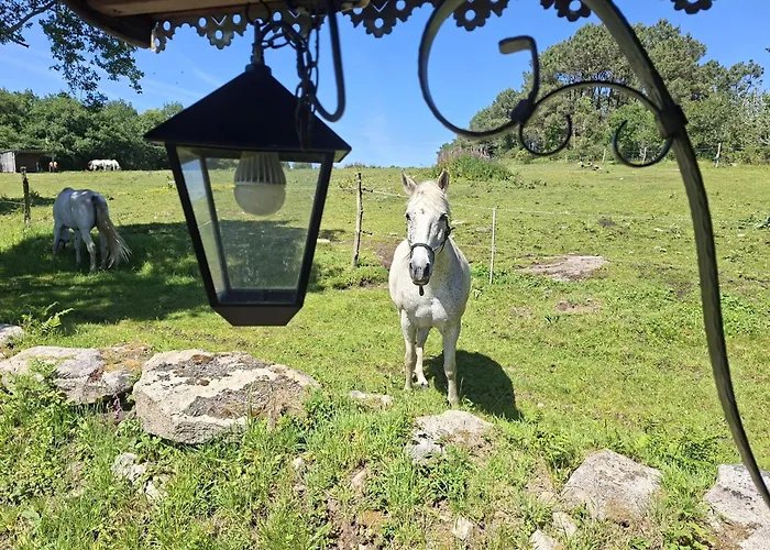 Domaine des Vallons