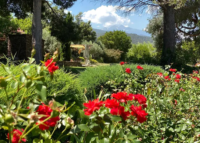 MAS TRAMONTANE ancien mas agricole avec chambres d'hôtes, studio, parc arboré, piscine et sa vue face au Canigou