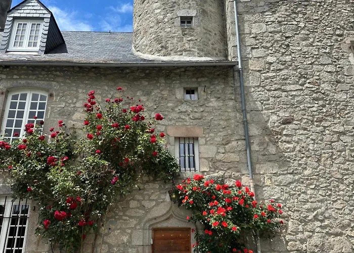 Chateau De La Borde A Ussel, Centre-Ville, Proche Autoroute A89, Climatisation