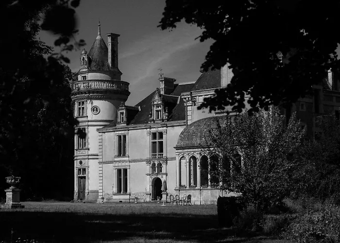 Château de la Court d'Aron Saint-Cyr-en-Talmondais