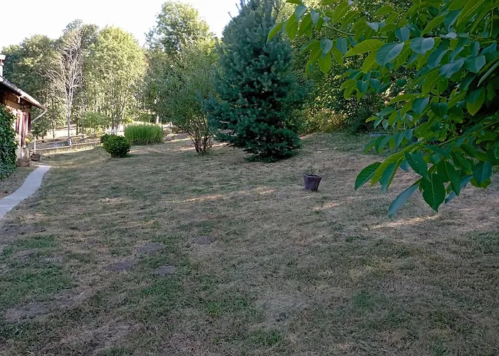 B&B Les Paddocks Vollore-Montagne