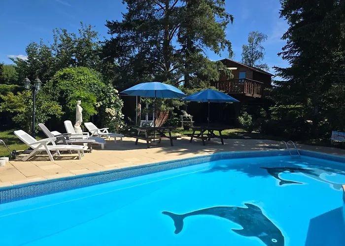 Les dauphins de Mareuil