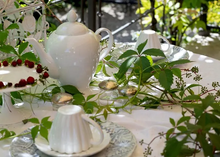 B&B Maison Parco Del Brenta Curtarolo