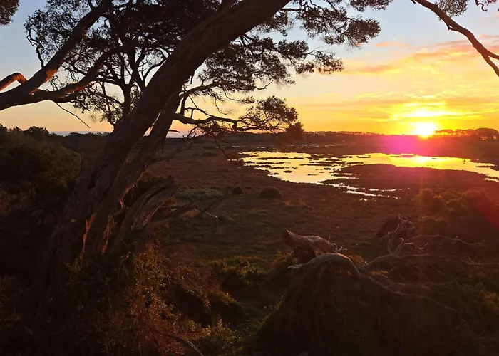 Banksia Park Estate Bed & Breakfast Newhaven