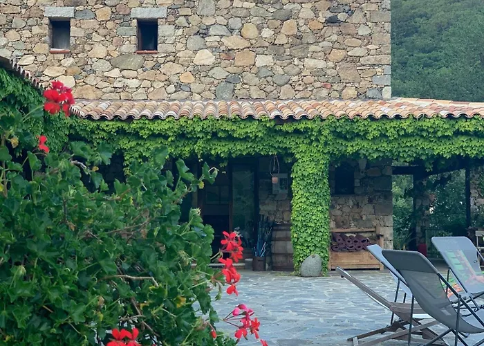Bed and Breakfast A Muvrella Pioggiola
