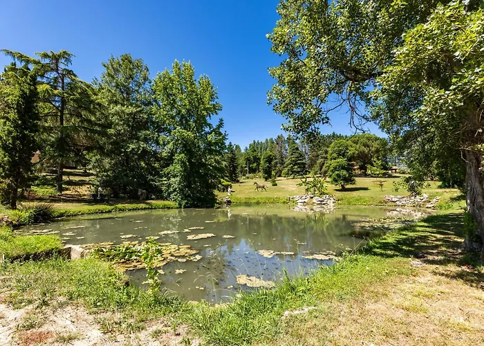 Bed and Breakfast Le Jardin D'Eau Lamothe-Montravel