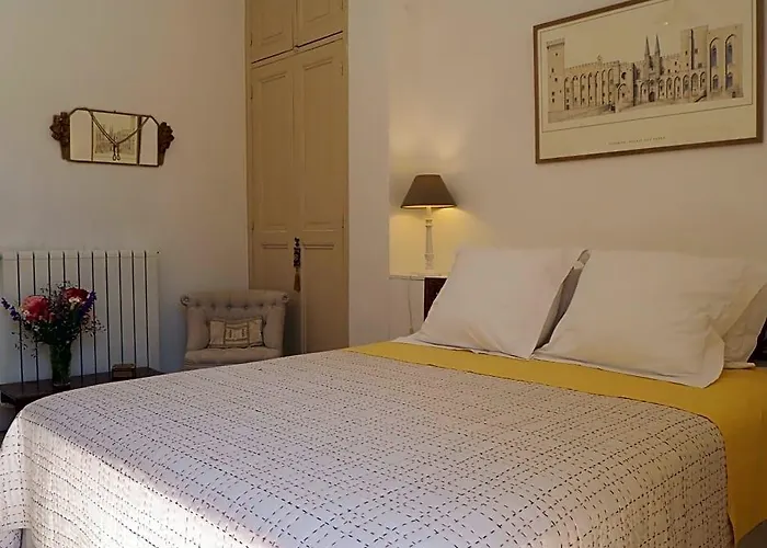 Maison Velvet Avignon