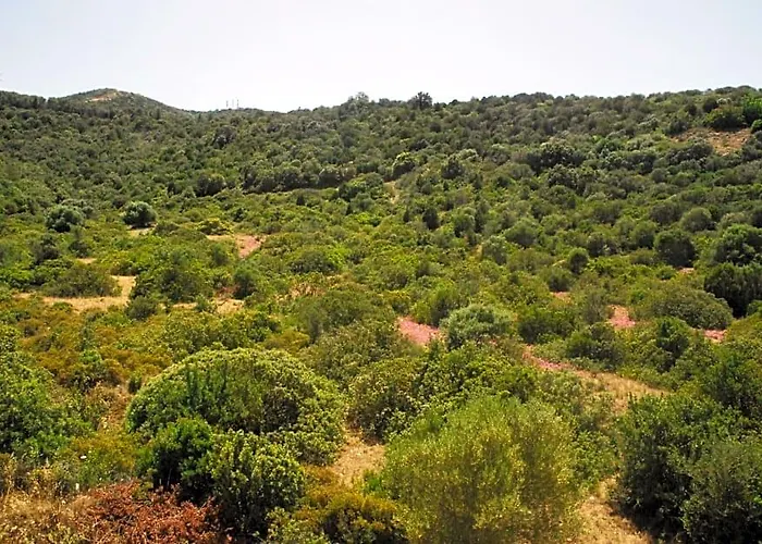 Bed and Breakfast I Ginepri Teulada