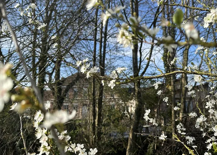 Le Domaine De La Bergerie Bed & Breakfast Lapugnoy