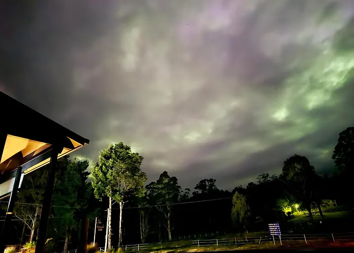 Cradle Forest Inn