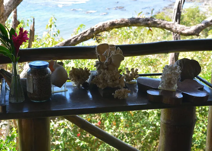Treetops Inn