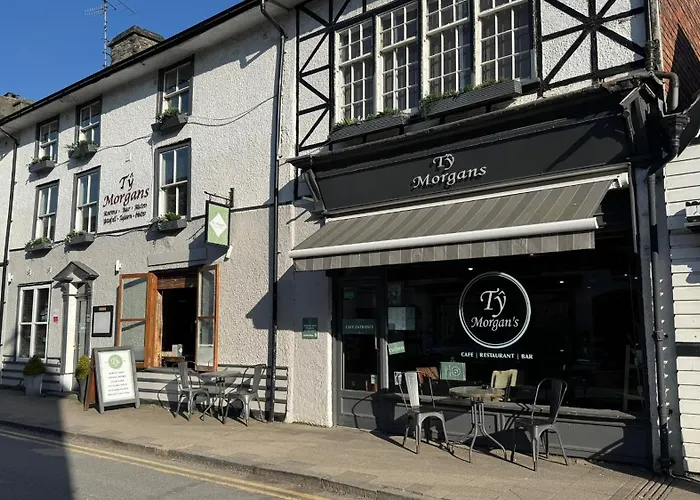 Ty Morgan'S