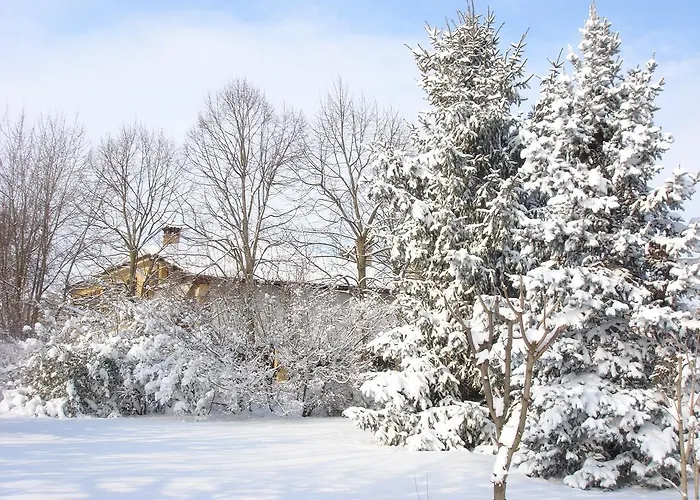 La Corte Del Cavaliere Bed&Breakfast Calderara di Reno