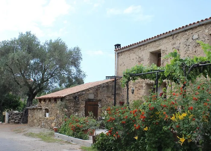 B&B Pietra-Monetta Pietra Moneta