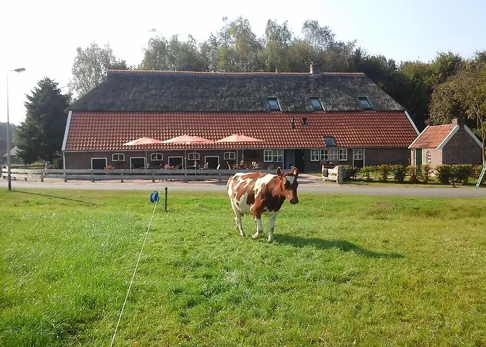 B&B De Luttikhoeve
