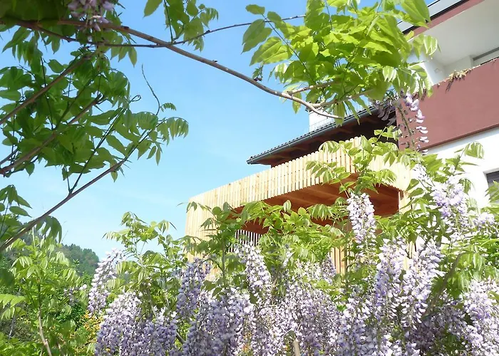 B&B Casa sul Lago - Appartamenti Calceranica al Lago