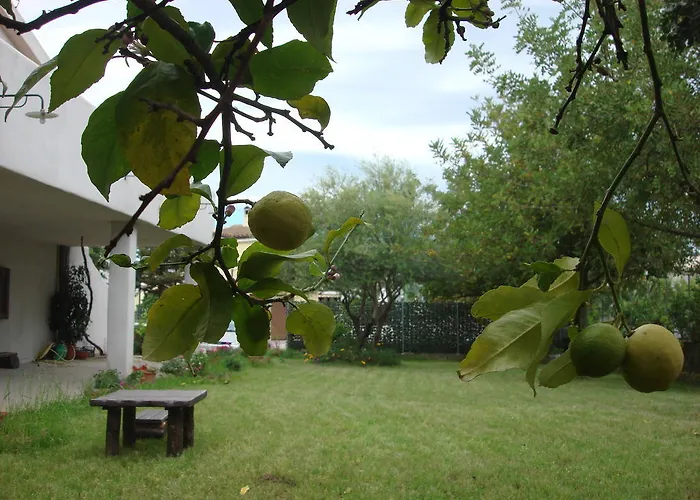 Bed and Breakfast Grazia Deledda Galtellì
