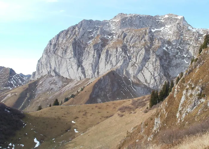 D'HÔTE LA PETITE BERGERIE