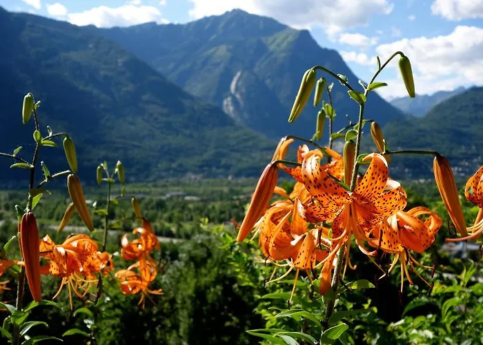 Bed & Breakfast Uvablu Trontano