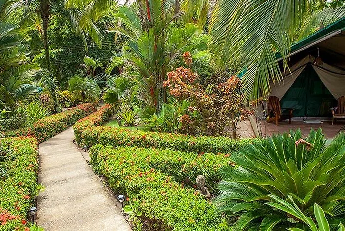 Rafiki Beach Camp
